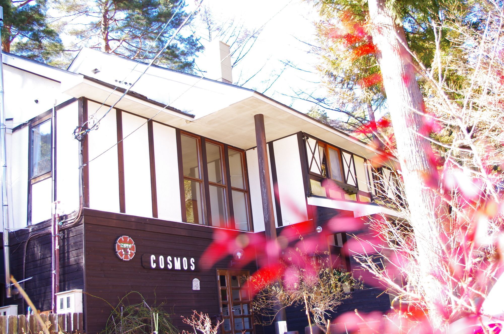 Forest Resort Cosmos ฟูจิคาวากุจิโกะ ภายนอก รูปภาพ